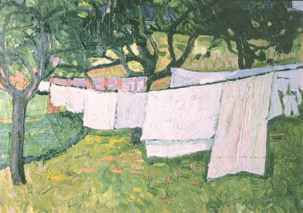 Lessive dans un pré